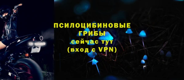 ешки Абаза
