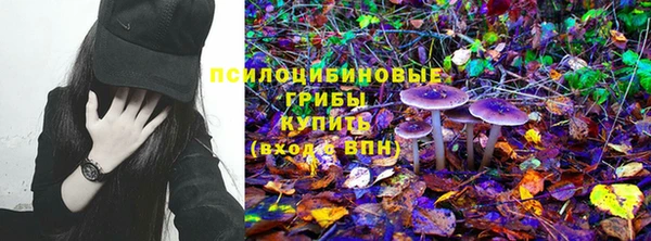 ешки Алексин