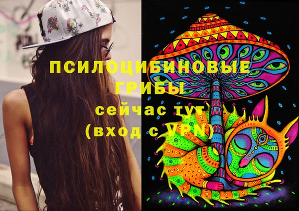 ешки Абаза