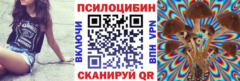 Псилоцибиновые грибы ЛСД  Новосиль 